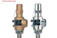 THIẾT BỊ VAN AN TOÀN WCSV-1000