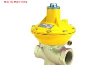 VAN GIẢM ÁP (ĐIỀU ÁP) GAS 180 KG/H - 1492BF – 0051002AH