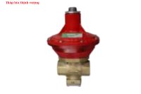 VAN GIẢM ÁP (ĐIỀU ÁP) GAS 300 KG/H - 1391HF – 0051001AA