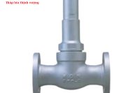 SẢN PHẨM VAN HỒI LƯU NỐI BÍCH WBRV-1125 (LPG)