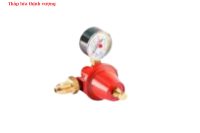 VAN GIẢM ÁP (ĐIỀU ÁP) GAS 80 KG/H - APZ400R-002700AH