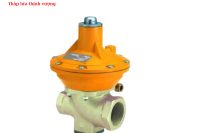 VAN GIẢM ÁP (ĐIỀU ÁP) GAS 250 KG/H - 1492MF – 0051002AG