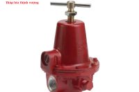 VAN GIẢM ÁP (ĐIỀU ÁP) GAS 250 KG/H X1588VL