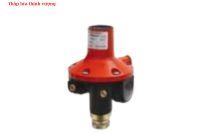 VAN GIẢM ÁP (ĐIỀU ÁP) GAS 250 KG/H - APS2000 - 002513BB