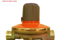 VAN GIẢM ÁP (ĐIỀU ÁP) GAS 4KG/H - BP1813-780AB