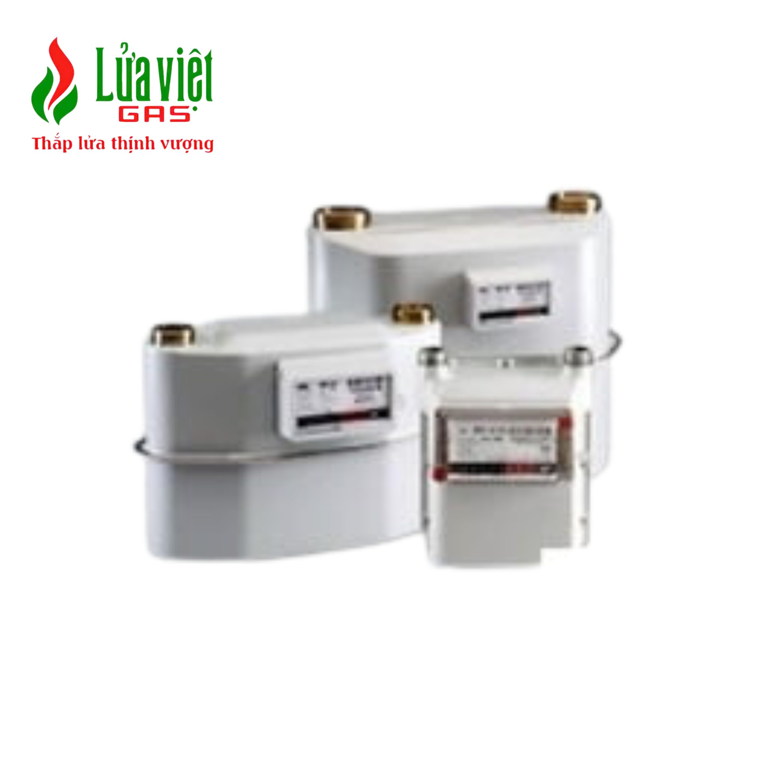 Đồng hồ đo lưu lượng màng ngăn series BK-G1.6-G6