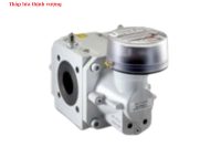 ĐỒNG HỒ ĐO LƯU LƯỢNG RVG G16-G400