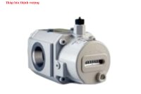 ĐỒNG HỒ ĐO LƯU LƯỢNG QUAY RVG-ST G10-G25