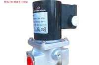 Van điện từ Warmfvalve DN15