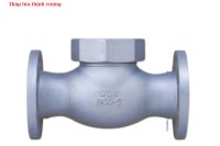 VAN MỘT CHIỀU NỐI BÍCH WCV-2121 (LPG)