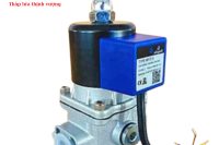 Van điện từ DN20