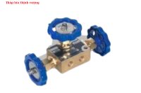 BỘ GÓP WCMV-1000 DÙNG CHO Ô XY LỎNG, NI TƠ, ARGON, LNG