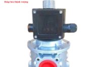 Van điện từ Warmfvalve DN32